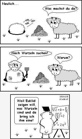 Wurzelsuche